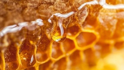 От каких болезней способен избавить мёд  Рассказывает итальянское издание Il Giornale