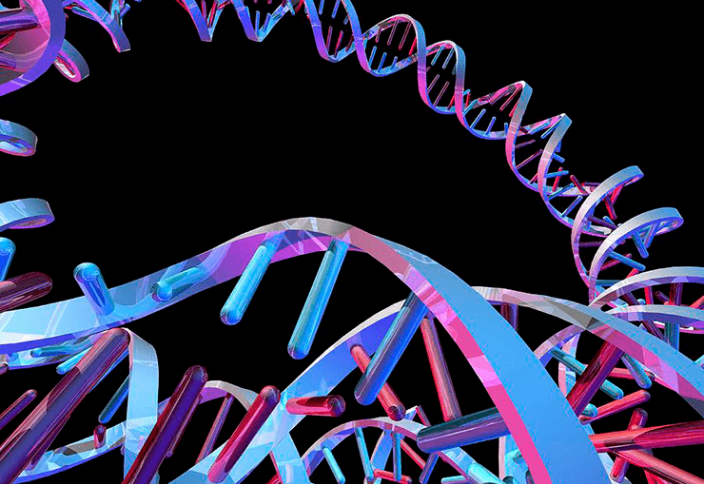 Ғалымдар шеңберлі ДНК тізбектілігі үшін арнайы құрал ойлап тапты