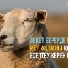 Зекет берерде меншігімдегі мал мен ақшаны қосып есептеуім керек пе?