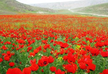 Қазақстан бай тағбиғаты бойынша рейтингте нешінші орында?