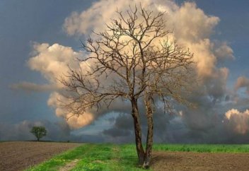 Еще одну из возможных причин исчезновения людского рода с планеты Земля