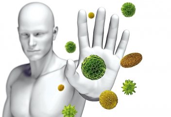 Пост в Рамадан с точки зрения нейропсихофизиологии