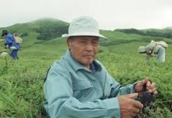 80 жасқа дейін жұмыс істеуге рұқсат берілмек