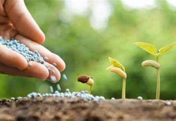 Мұсылман елі тыңайтқыш нарығында алғашқы бестік құрамына кірді