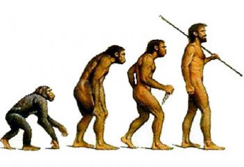 Ложность дарвинизма