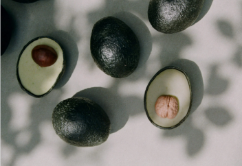 Тек ыстық жақта өсетін жеміс импортынан құтылу үшін экологиялық авокада жасалды