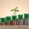 Pakistan launches first-ever green Sukuk to boost eco-friendly investments