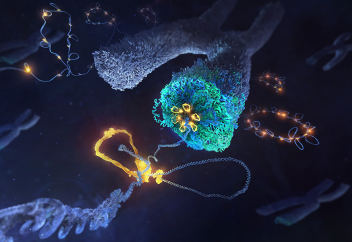 Хромосоманың қалыптасуына ықпал ететін тетік анықталды (видео)