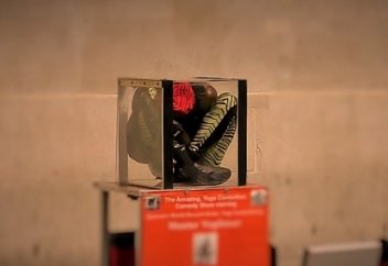 London. Уличное шоу - "гибкий человек"