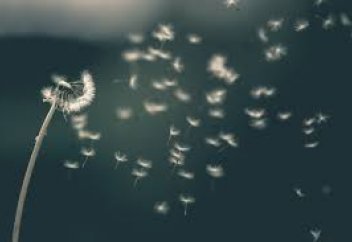 Ғалымдар адамның жан тапсырар алдындағы халін сипаттап берді