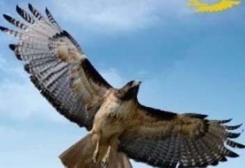 «Менiң атым – Тәуелсiздiк»