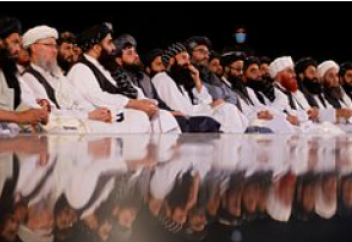 Тәліптер қарасора өсіруге тыйым салды