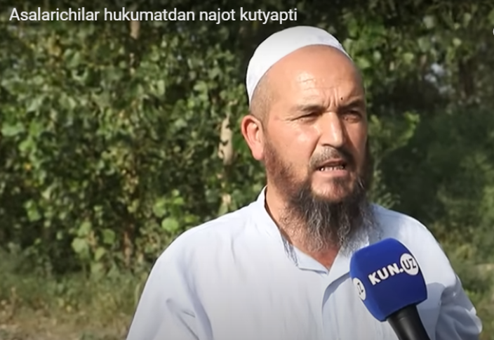 «Разве можно быть настолько жестокими?..» — в долине из-за ядовитых химикатов массово гибнут пчёлы (видео)