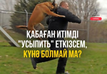 Қабаған итімді "усыпить" еткізсем, күнә болмай ма?