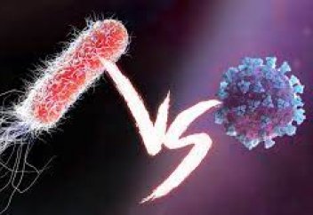 Бактерия вирусқа қалай қарсы тұрады
