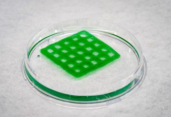 3D принтерінде суды тазартуға арналған «тірі материал» басып шығарылды (видео)