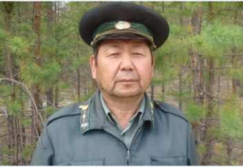 Орманшы: 22 мың қарағайды өз қолыммен отырғыздым