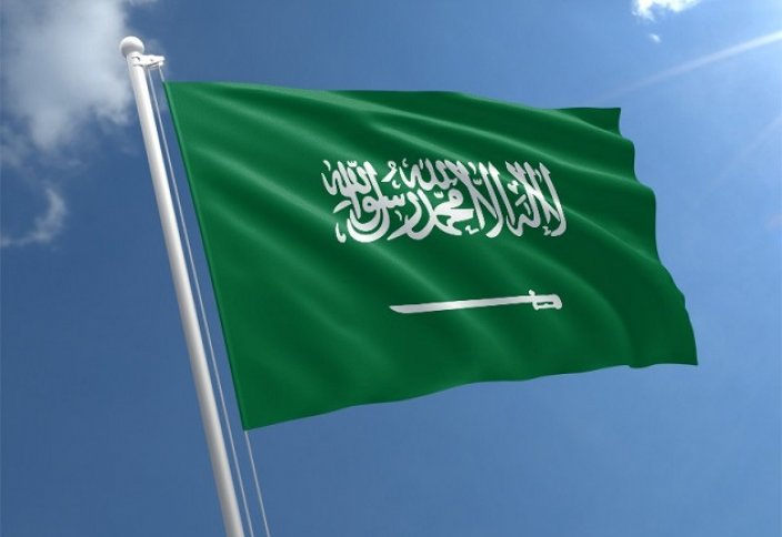 Саудовской Аравии предложили убрать меч с государственного флага. Саудовская Аравия запретила въезд из 20 стран