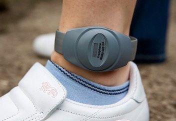 В Австрии к подозреваемым в экстремизме хотят крепить электронные браслеты