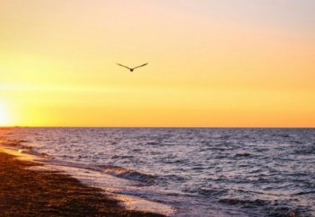 Сенен қажет сол маған