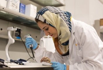 Саудиялық ғалымдар обырмен күресетін өсімдік тапты