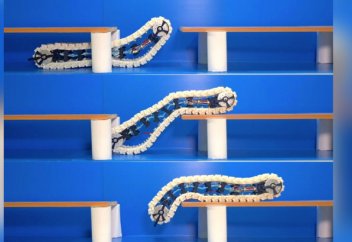 Кедергіні мойындамайтын өзгеше робот құрастырылды (видео)