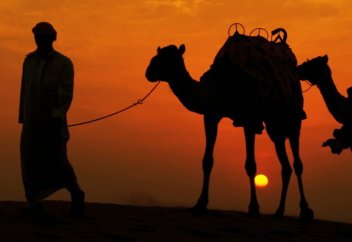 Старый вождь