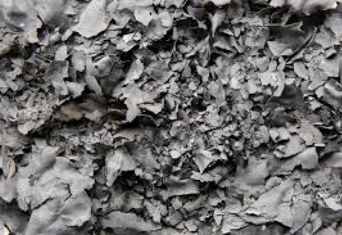 10 стран, которые внесли наибольший вклад в развитие естественных наук в 2019 году