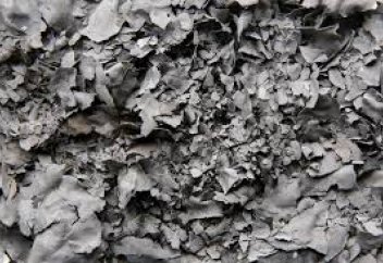 10 стран, которые внесли наибольший вклад в развитие естественных наук в 2019 году