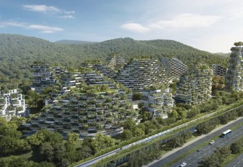 Әлемде тұңғыш рет орман-қала салынады