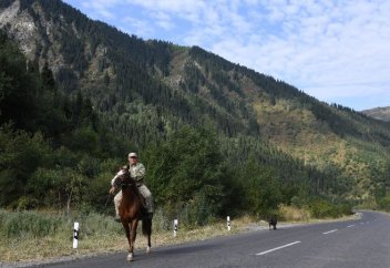 Изменились права и обязанности егерей в Казахстане