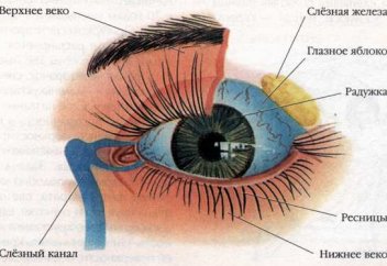 ҚАЗАҚСТАНДА ЖЫЛ САЙЫН 2000-ҒА ЖУЫҚ АДАМ КӨРУ ҚАБІЛЕТІНЕН АЙРЫЛАДЫ
