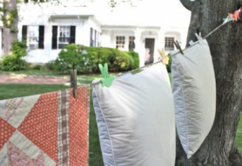 ҚҰС ЖАСТЫҚТЫ жууға бола ма? ОҢАЙ ӘДІСІН қолданыңыз