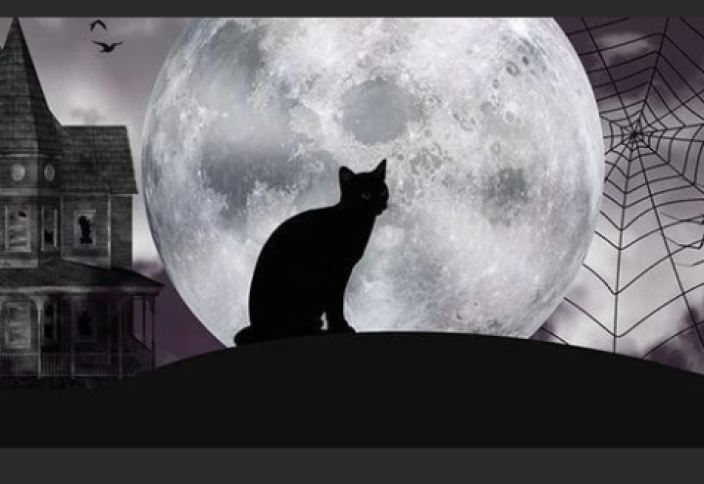 Еуропа елінде қара мысықты панасыздар мекенінен уақытша алуға тыйым салынды