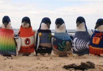 109 жастағы қария бір жылын пингвиндерге жемпір тоқуға арнады