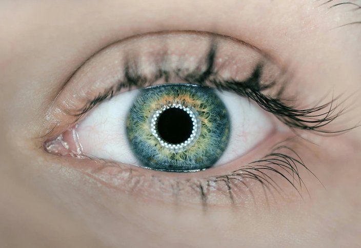 3D-принтерде басылған көздің мөлдір қабығы зағип пациенттің көру қабілетін қалпына келтірді (видео)