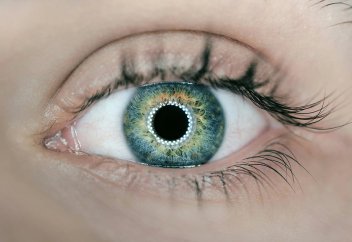 3D-принтерде басылған көздің мөлдір қабығы зағип пациенттің көру қабілетін қалпына келтірді (видео)