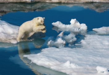 Арктикадағы мұздықтардың еру көрсеткіші рекордтық деңгейге жетті (ВИДЕО)