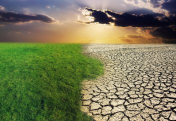 Потепление сократило производительность сельского хозяйства на 21%… но только внутри башни из слоновой кости. А в реальном мире увеличило как минимум на 10%