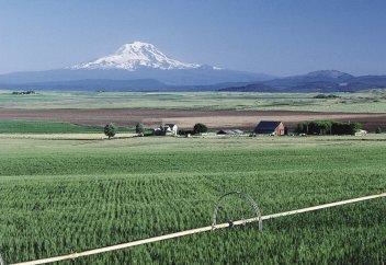 Ерінбей еңбек еткен адамдарға әркез мемлекет те қолдау көрсетеді (видео)