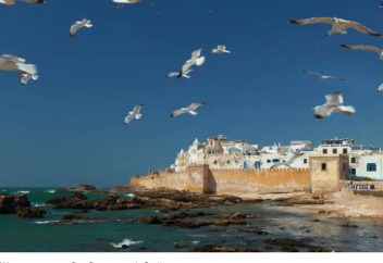 В ООН готовят план по борьбе с исламофобией