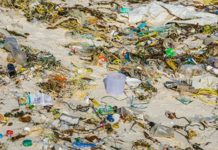 Новая технология поможет избавить океан от пластика, превратив его в топливо