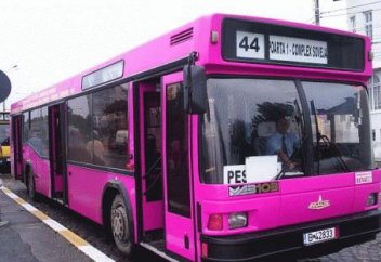 Женские автобусы появятся в Египте