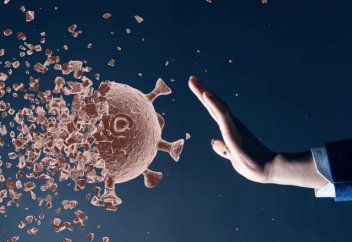 Противопаразитарный препарат ивермектин за 48 часов подавил действие коронавируса