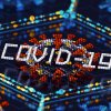 Российские учёные нашли способ защитить внутренние органы от COVID-19. Ученый назвал болезнь, дающую иммунитет к коронавирусу
