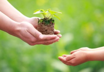 АҚШ-та мұсылман оқушылардың қайырымдылық шарасы қорытындыланды