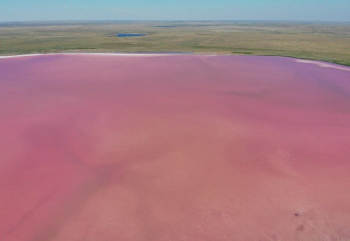 Вывозивших соль с розового озера Кобейтуз хотят наказать. Лечит ли коронавирус соль с розового озера, объяснили ученые