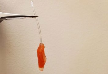 Қолдан жүректің үлкен бөлігі өсірілді. Ол соғады (видео)