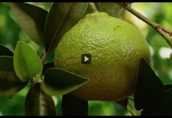 Красивый ролик! Открывая свое сердце