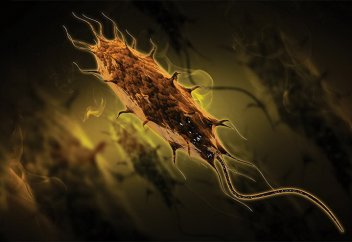 Жаңа буын антибиотигінің тиімділігі неде?